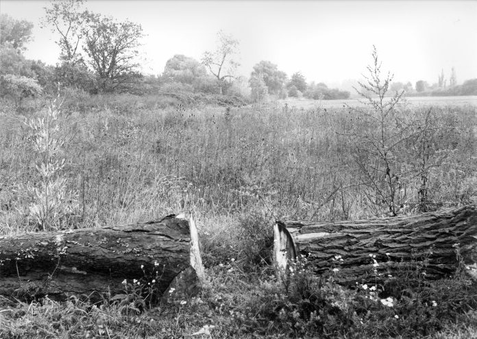 Organisationsentwicklung